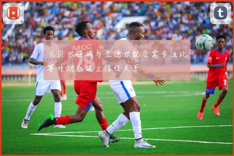 戈贝尔强调与兰德尔配合需专注比赛计划和建立信任关系